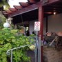 Photo of Canario 78