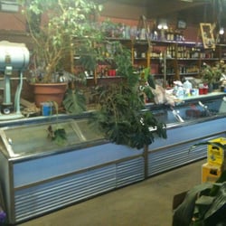 Border Store - The plant looked like it was melting.