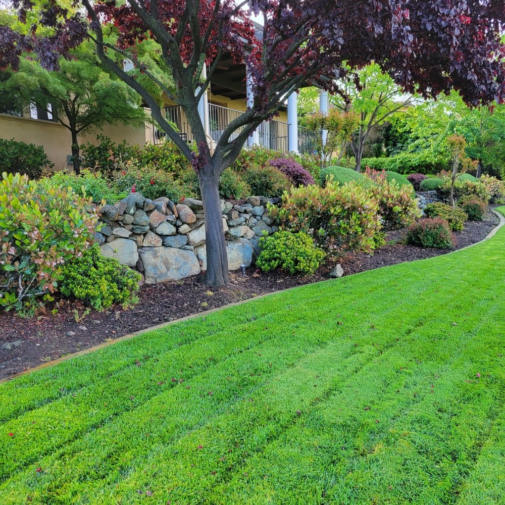 Trusted Landscaping \u0026 Lawn Care Experts in Lincoln, NE | Spohr's, image size:1000x1000