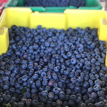 Surrey Farms - Blueberries! - Farmers Market Near Me - Surrey, British Columbia Surrey Farms - Blueberries! - Farmers Market Near Me - Surrey, British Columbia