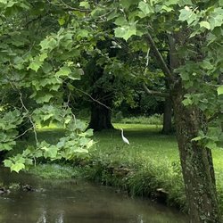Hounz Lane Park