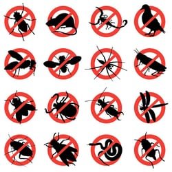 Emergency Pest Control in Peachtree City, GA