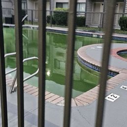 Current pool view #green Current pool view #green