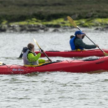 Monterey Bay Eco Tours - Monterey Bay Eco Tours - Boat Tours Near Me - Moss Landing, California Monterey Bay Eco Tours - Monterey Bay Eco Tours - Boat Tours Near Me - Moss Landing, California
