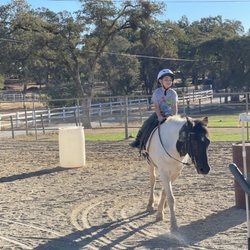 Healing Pastures At C Horse Ranch