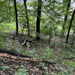 Penn Hills Community Park