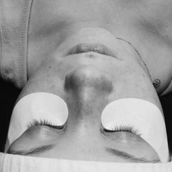 Lash Out Loud