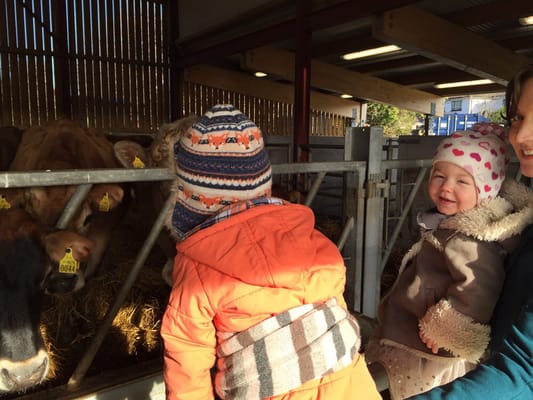 Airfield Estate by null