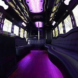Carefree Limousine Service - 20 passenger bus interior, pole removed