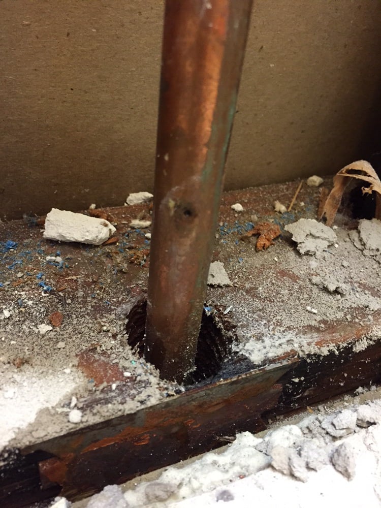 Slide of The Drain King