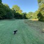 Photo of Lola Valley Park