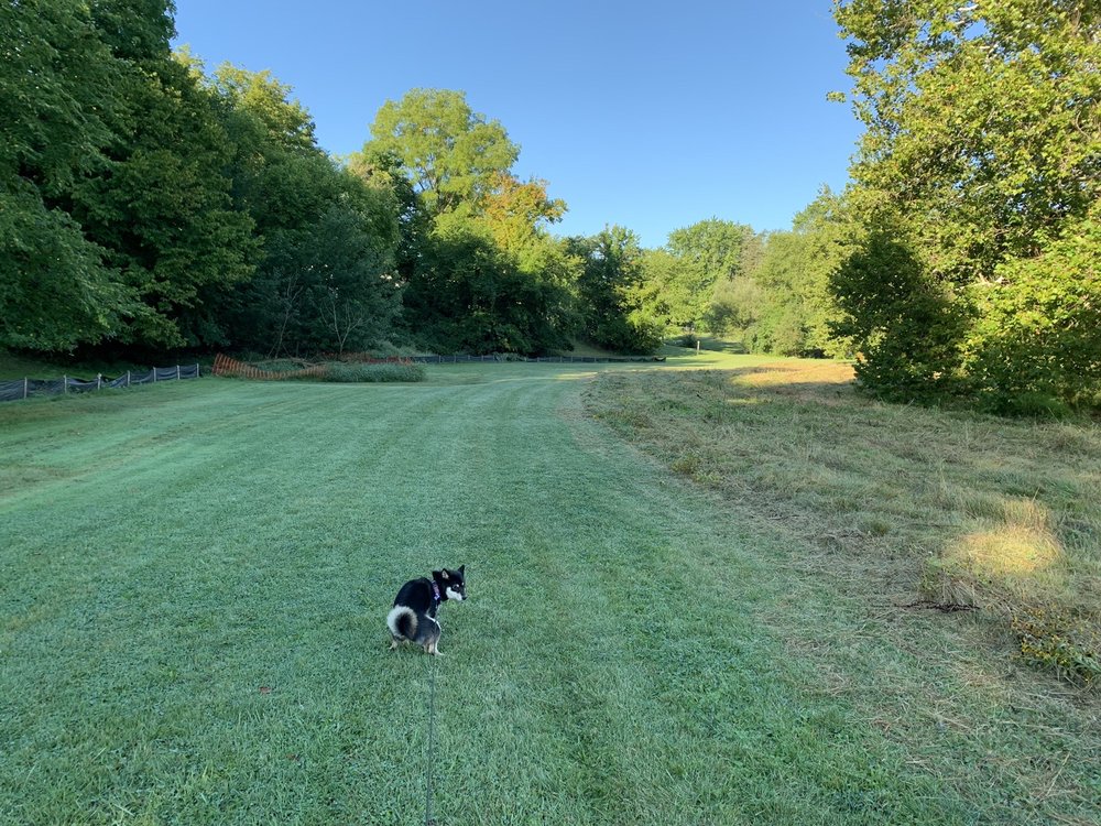 LOLA VALLEY PARK 1650116671 Kinloch St, Redford, MI Yelp