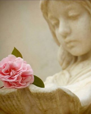 Bonaventure Cemetery by null