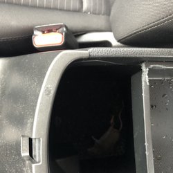 Avis Rent A Car - Dead mouse in center console