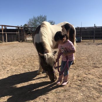 J R Pony Parties - Party & Event Planning Near Me - Las Vegas, Nevada