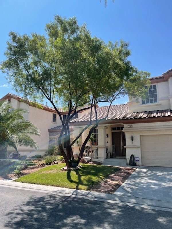 A Cut Above Tree Service - tree service in Las Vegas, NV