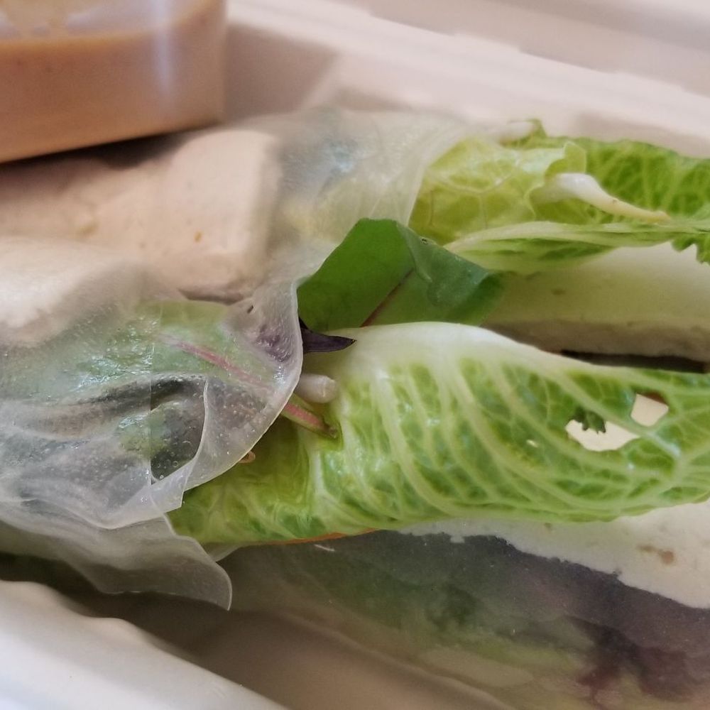 Celadon Thai Restaurant - Thai "Fresh Salad Rolls" - Thai Near Me - Latham, New York Celadon Thai Restaurant - Thai "Fresh Salad Rolls" - Thai Near Me - Latham, New York