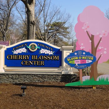 Branch Brook Park - Blossom Meter - Parks Near Me - Newark, New Jersey