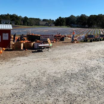 Warbington Farms - Attraction Farms Near Me - Cumming, Georgia