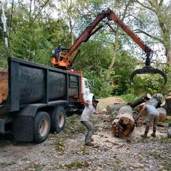 Trees Plus - Tree Services Near Me - Portage, Indiana