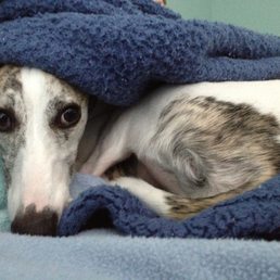 Our baby boy who we lost 9/13/23 after VERY poor care at TVRH. Our baby boy who we lost 9/13/23 after VERY poor care at TVRH.