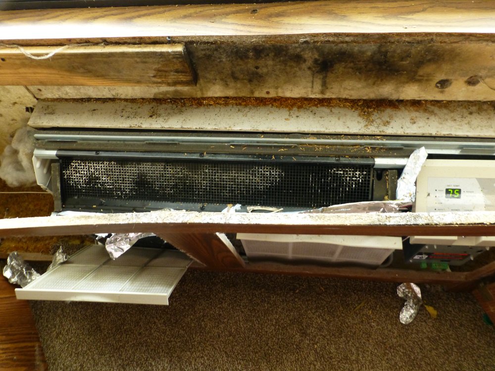 STONE COVE APARTMENTS Updated September 2024 630 W Pope Rd, Saint