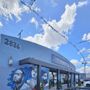 Photo of Blue Strips LA