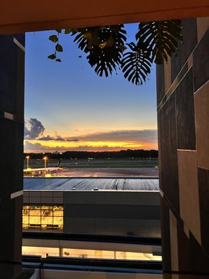 Crowne Plaza Changi Airport by IHG by null