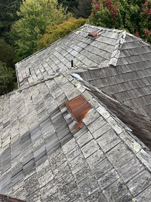 Hernandez construction