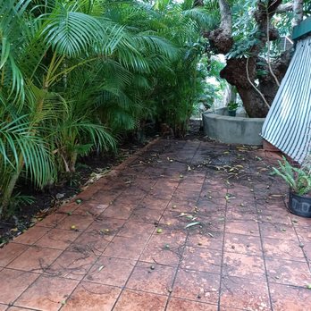 777 Power Wash - Before power wash. Tile stained with Mango sap. - Pressure Washers Near Me - Aiea, Hawaii 777 Power Wash - Before power wash. Tile stained with Mango sap. - Pressure Washers Near Me - Aiea, Hawaii