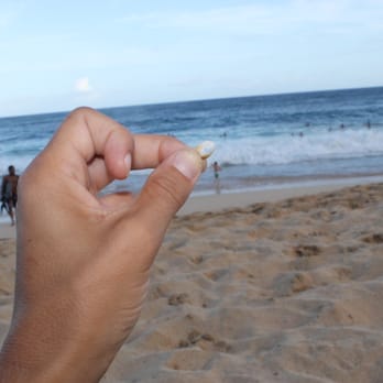 Sandy Beach Park - natural heart in the seashell! - Parks Near Me - Honolulu, Hawaii Sandy Beach Park - natural heart in the seashell! - Parks Near Me - Honolulu, Hawaii