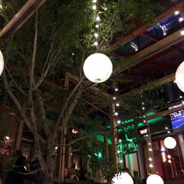 Beautiful lights amongst the greenery
