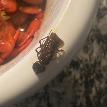Mr Crabs - Straight bug - Seafood Near Me - Grand Prairie, Texas
