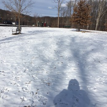 The Holyoke Dog Park - Dog Parks Near Me The Holyoke Dog Park - Dog Parks Near Me