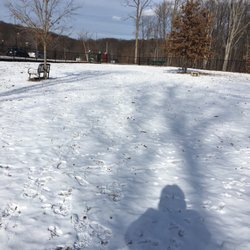 The Holyoke Dog Park