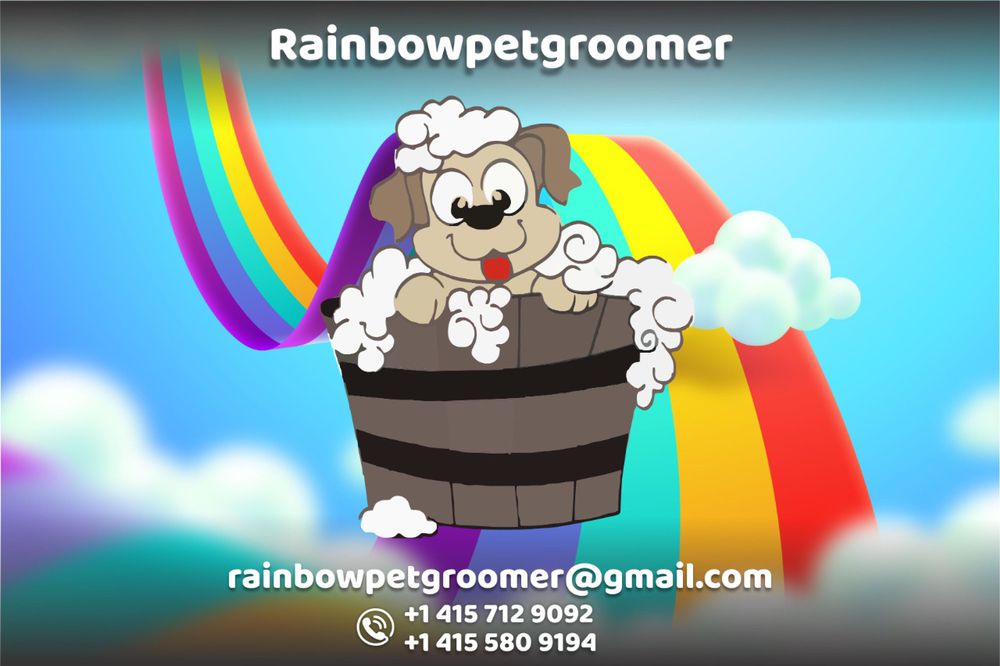 Rainbow Pet Groomer