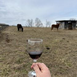 Tennessee Valley Winery - Horses behind winery