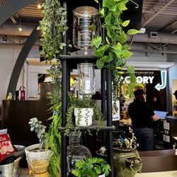 The Roasterie Cafe - Kansas City - Awesome display of glass dripped coffee makers
