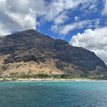 Dolphins and You - No filter and views were AMAZING. - Boat Charters Near Me - Honolulu, Hawaii Dolphins and You - No filter and views were AMAZING. - Boat Charters Near Me - Honolulu, Hawaii