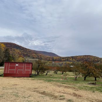 Chiles Peach Orchard - Orchards with beautiful fall foliage. - Farmers Market Near Me - Crozet, Virginia Chiles Peach Orchard - Orchards with beautiful fall foliage. - Farmers Market Near Me - Crozet, Virginia