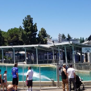 Dine With Orcas - Buffets Near Me - San Diego, California Dine With Orcas - Buffets Near Me - San Diego, California