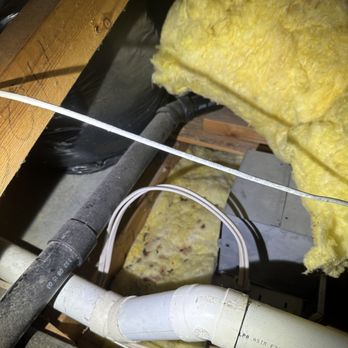 Nex Critter Control - Pest Control Near Me Nex Critter Control - Pest Control Near Me