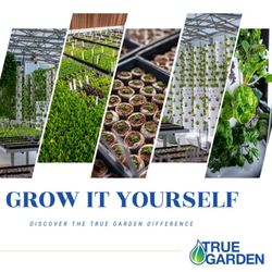 Healing Earth Farms