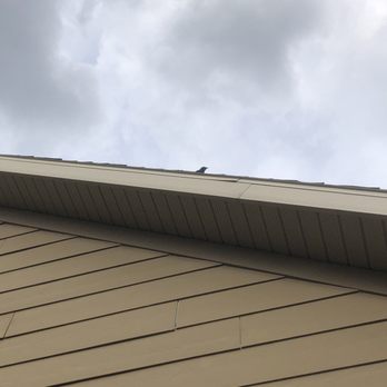 Residence Inn by Marriott Helena - Attacking dive bomber bird. - Hotels Near Me - Helena, Montana Residence Inn by Marriott Helena - Attacking dive bomber bird. - Hotels Near Me - Helena, Montana