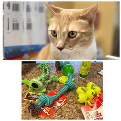Pets to Go - Spending my HB gift card. Made a new friend, too.
