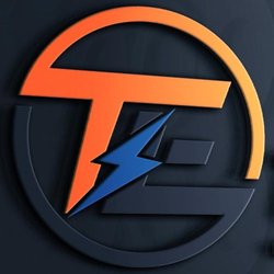 Two Lions Electric
