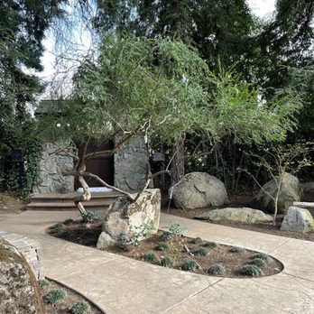 Mackmans Tree Care - Tree Services Near Me - Modesto, California