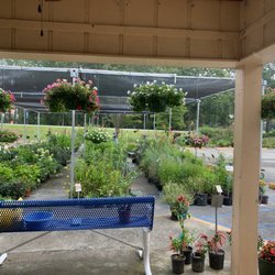 Thompson's Garden Retail - Beautiful