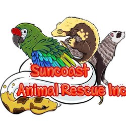 Suncoast Animal Rescue