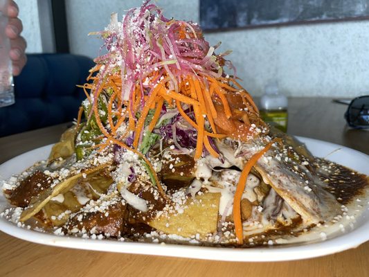 The Funky Taco by null